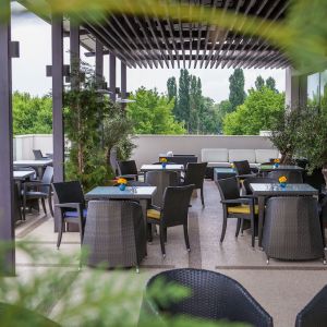 Fotografie The Gallery - 2