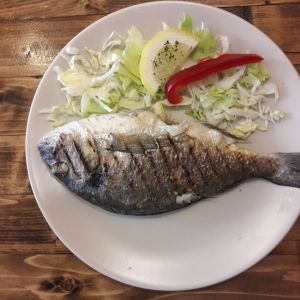 Fotografie Kaja Tanya - 4