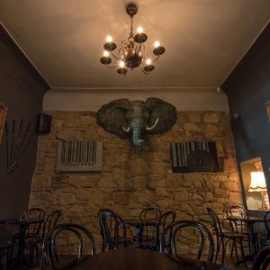 Fotografie Bleriot - 0