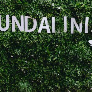 Fotografie Kundalini - 0