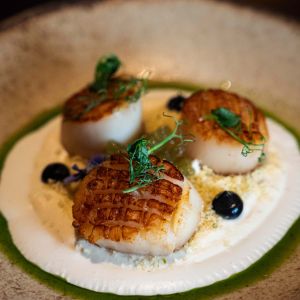 Fotografie Diplomat - 7