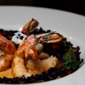 Fotografie Diplomat - 4