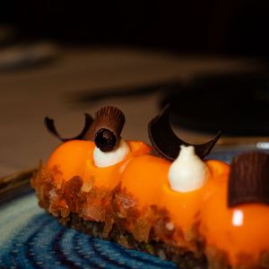 Fotografie Diplomat - 9