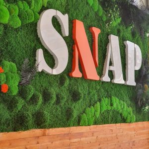 Fotografie Snap - 3