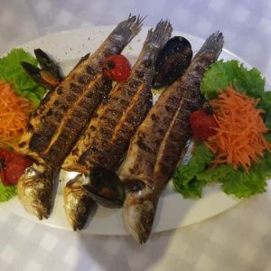 Fotografie Restaurant Athos - 1