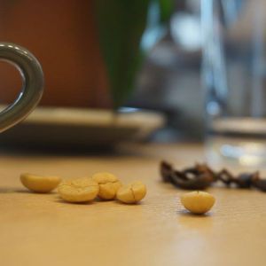 Fotografie Fellow One - 2