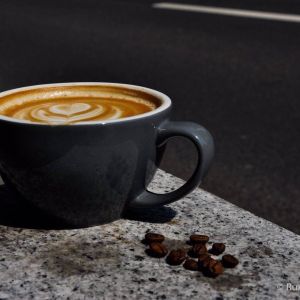 Fotografie Fellow One - 3