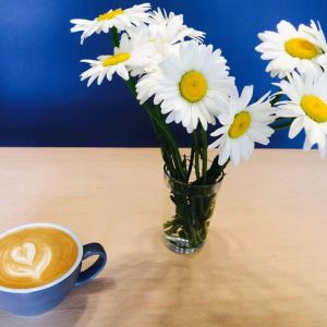 Fotografie Fellow One - 4