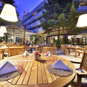 Fotografie Citronelle - 0