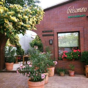 Fotografie Gelsomino - 0