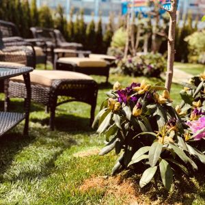 Fotografie Trattoria Rossini - 4