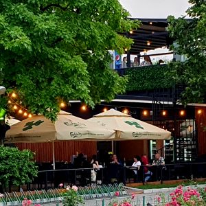 Fotografie Trifoias Tineretului - 0