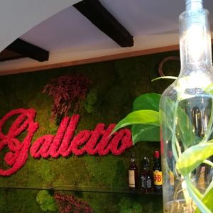 Fotografie Galletto - 0