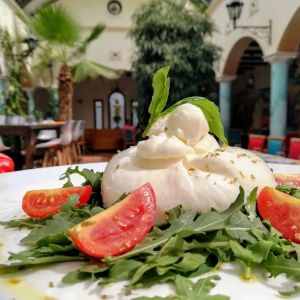 Fotografie Galletto - 4