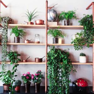 Fotografie Jicky Cuisine - 4