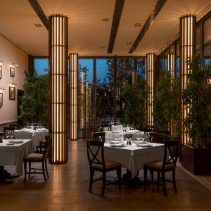 Fotografie Golden Blitz - 1