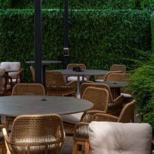 Fotografie Zen Sushi Nordului - 12