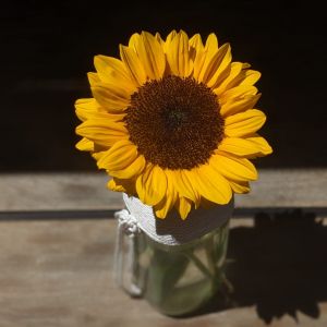 Fotografie Lovin' Winebar & Bistro - 6