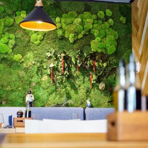 Fotografie Pio Bistro - 0