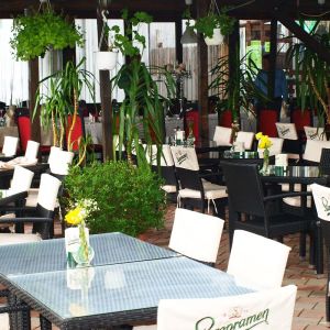 Fotografie Restaurant La Patrascu - 0