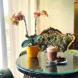 Fotografie Madame B - Tea & Pancake House - 2