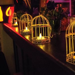 Fotografie Tunes - 2