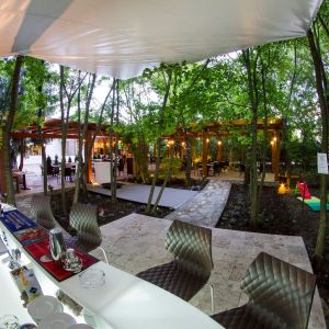 Fotografie Meadows - 0