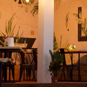 Fotografie License Bar - 3