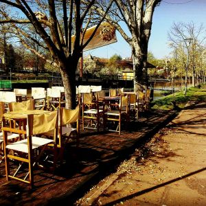 Fotografie D'arc Timisoara - 2