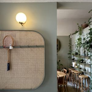 Fotografie PAPILA - 1