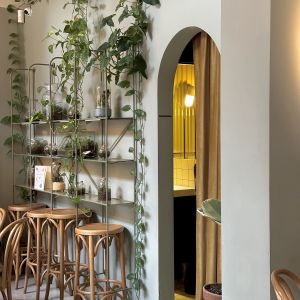 Fotografie PAPILA - 5