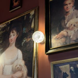 Fotografie PAPILA - 7