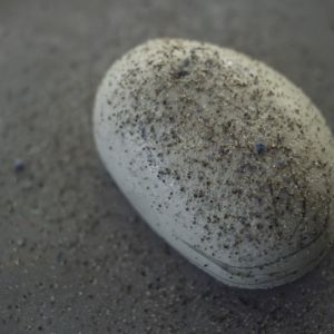 Fotografie Kaiamo - 1