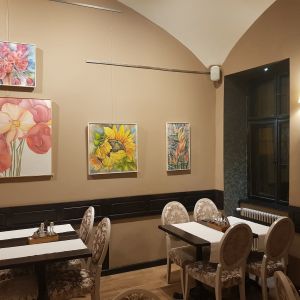 Fotografie Casa Veche - 2