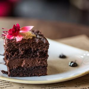 Fotografie Terminus - 3