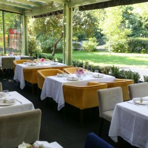 Fotografie Gargantua In The Park - 3