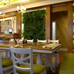 Fotografie Vivid Bistraw - 0