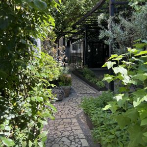 Fotografie NOUA. Bucătărie Românească - 4