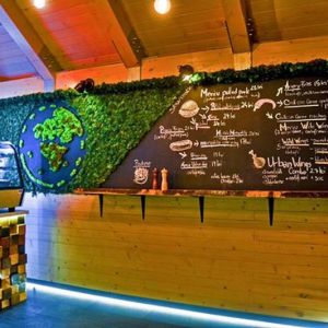 Fotografie Urban Food - 3