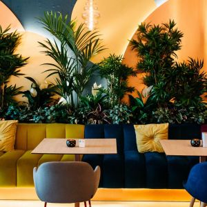 Fotografie Sensio Living - 0