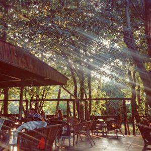 Fotografie La Biblioteca Herastrau - 0