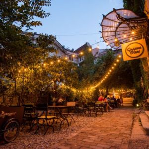 Fotografie Gradina Olari - 1