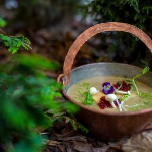 Fotografie Sub Tampa - 5