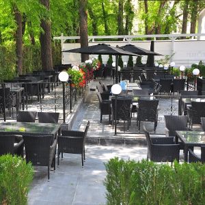 Fotografie Marul de Aur - 0