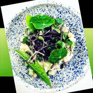 Fotografie Dragomir Niculescu - 7