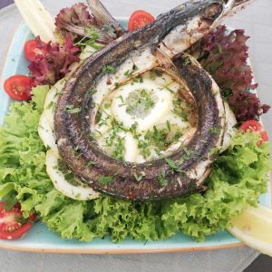 Fotografie Italian DOC - 0