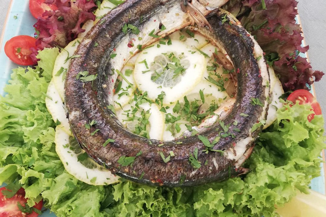 JUNO Wine Garden, Brașov Rezervă o masă online Winebar din Brașov.