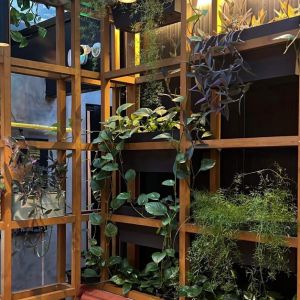 Fotografie Tudis's - Zinca Golescu - 3