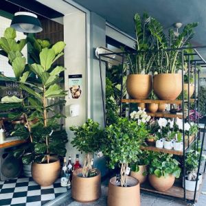 Fotografie Cento Floreasca 118 - 5