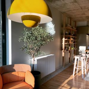 Fotografie Baristro - 1